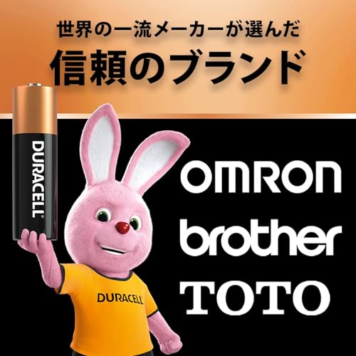 Duracell AA Alkaline Batteries. 10 Pack. Shelf Life. 10 Years. PC Mouse. Keyboard. Remote Control. Clock. Toys. Rabbit Battery